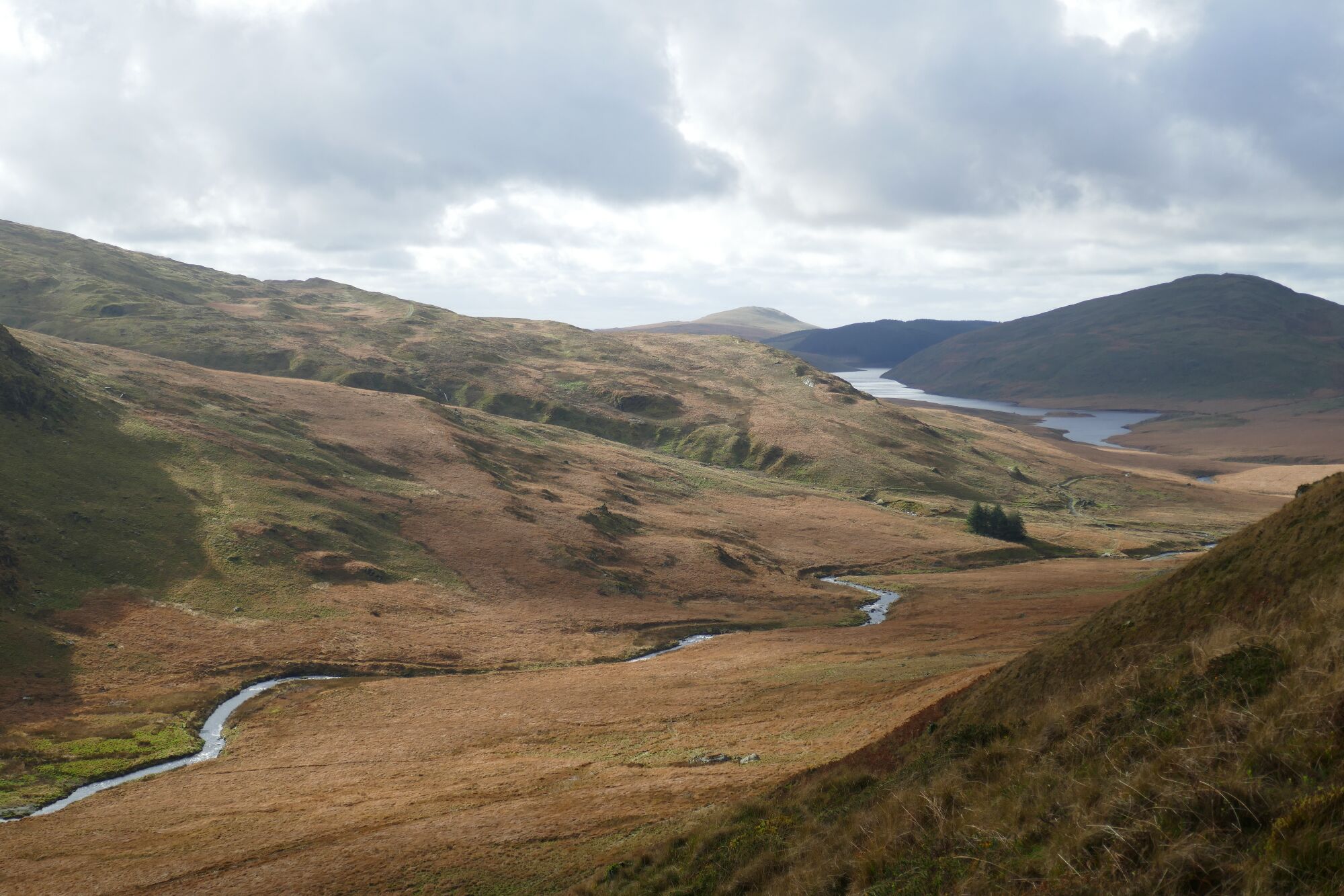 RachelSeabrook.net | Wild Walking | Cwm Hengwm | pic20